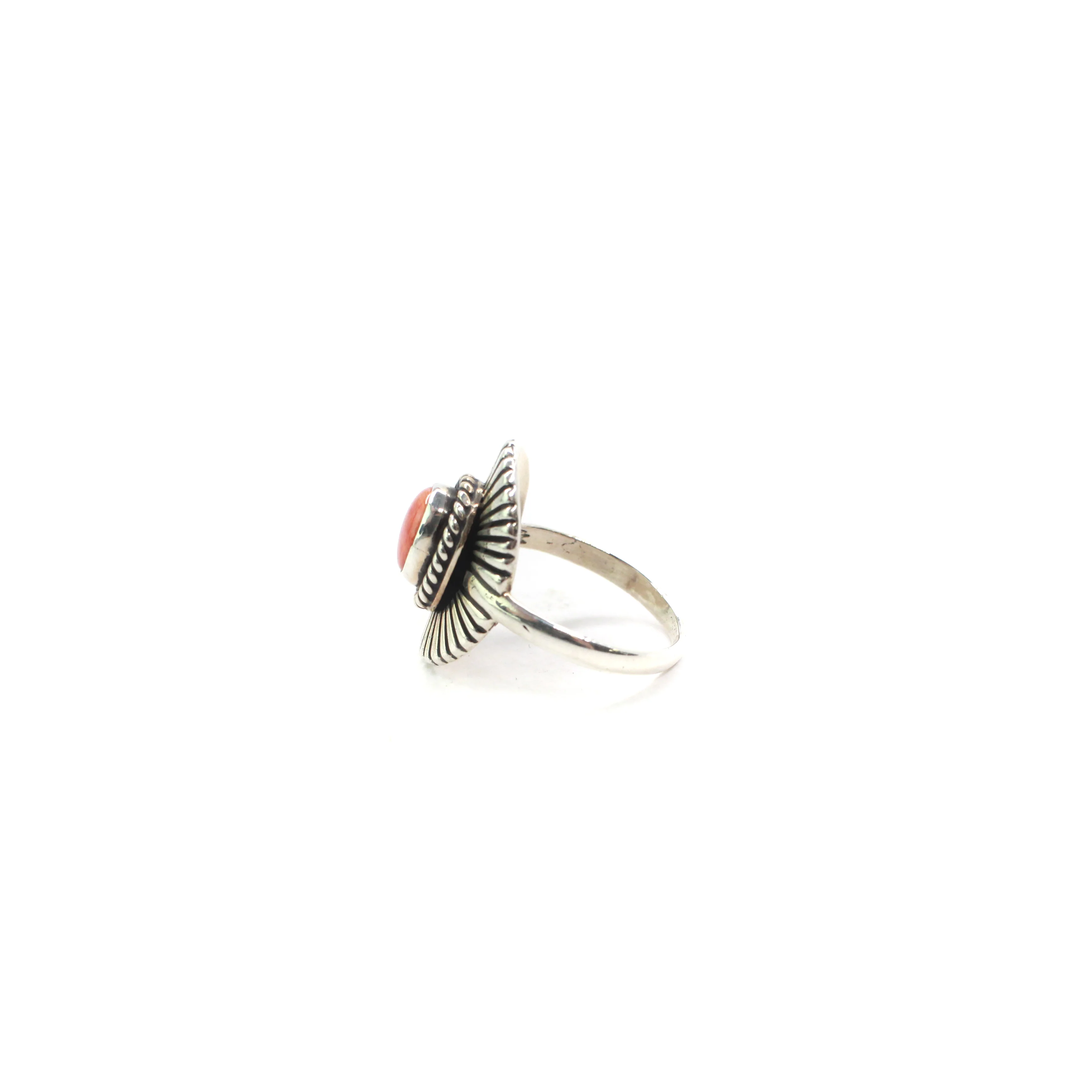 The Lay - Orange Spiny Oyster (8) - Image 3