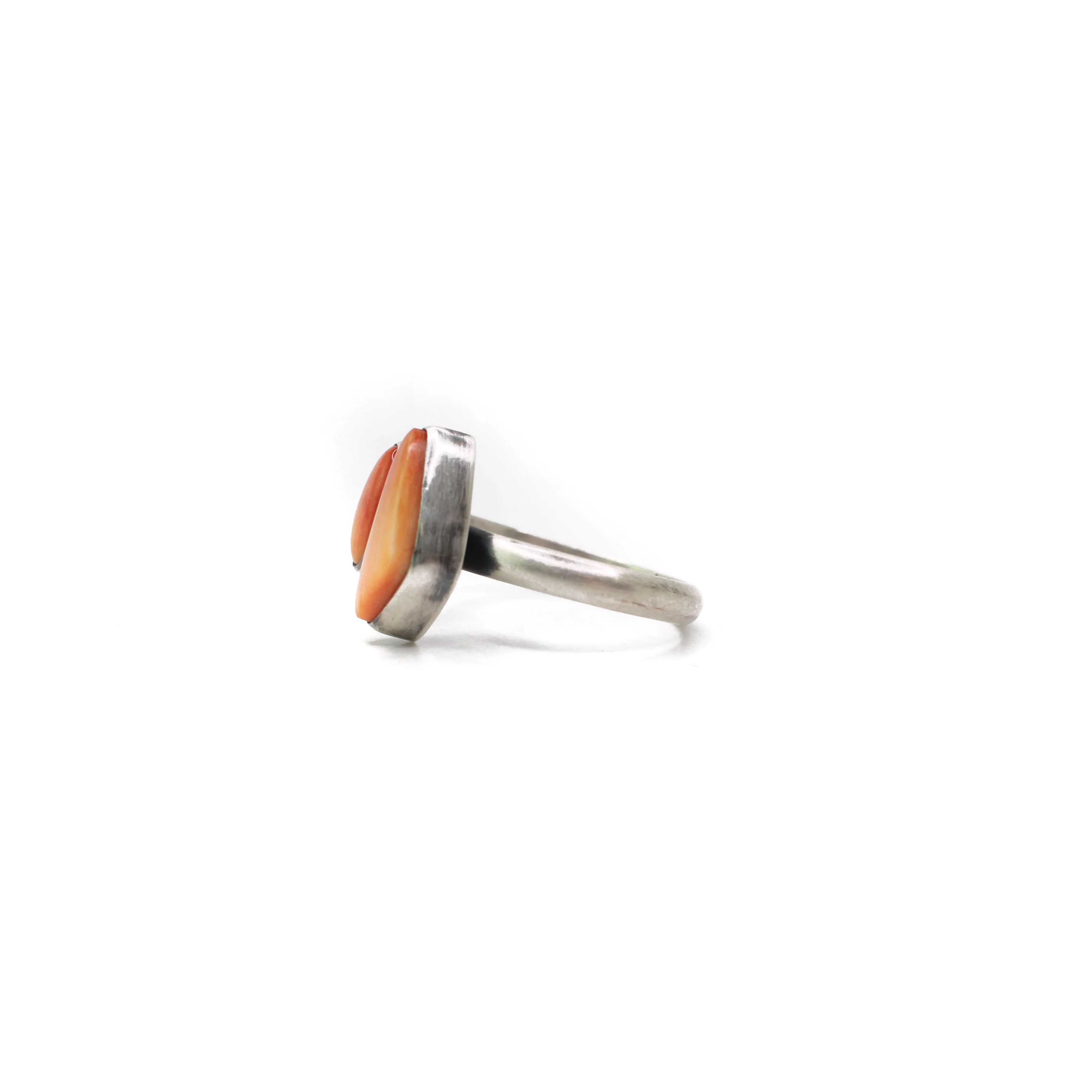 The Marigold- Orange Spiny Oyster - Image 3
